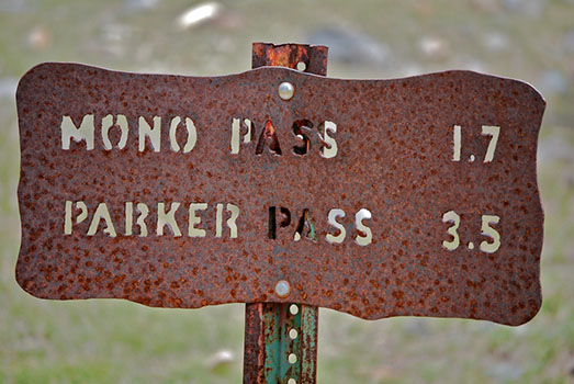 mono pass